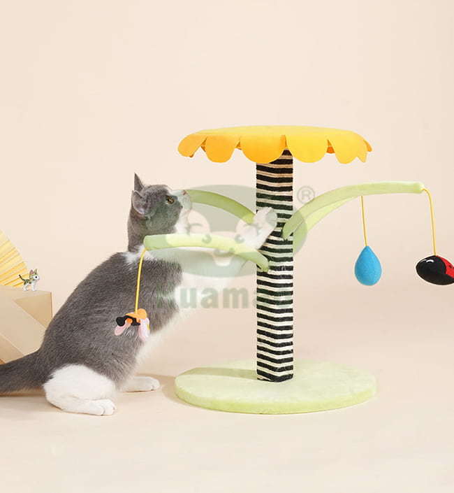 Toys Cat Scratcher