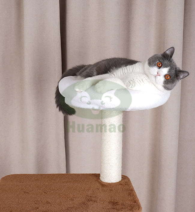 The Five-Layer Cat Tree