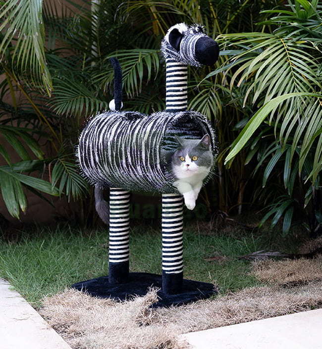 Zebra Cat tree