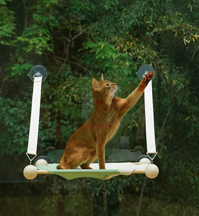Window Cat Bed