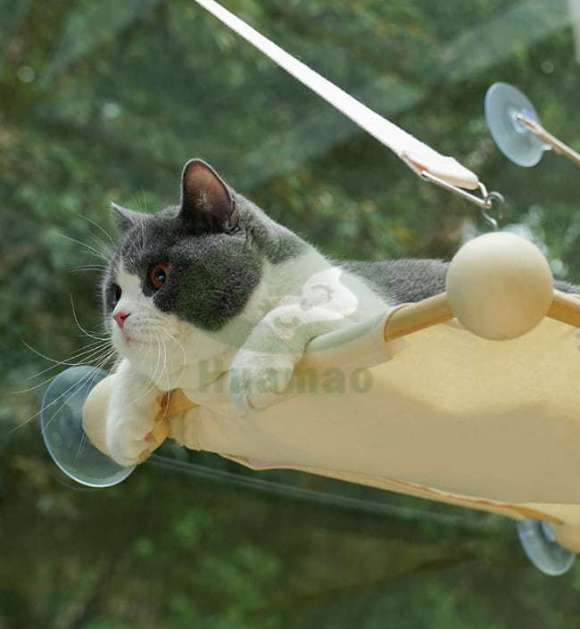 Window Cat Bed