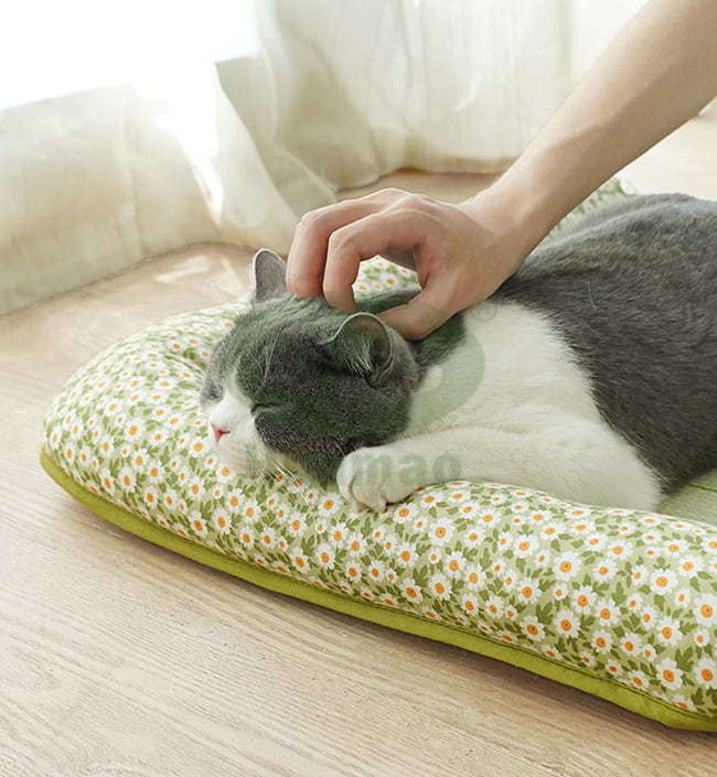 Cool And Comfortable Foamed Pet Mat