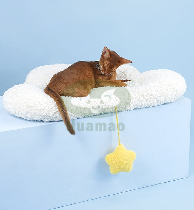 White Small Pet Bed