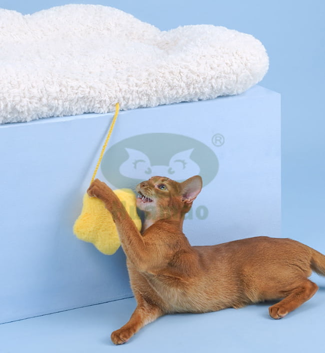White Small Pet Bed