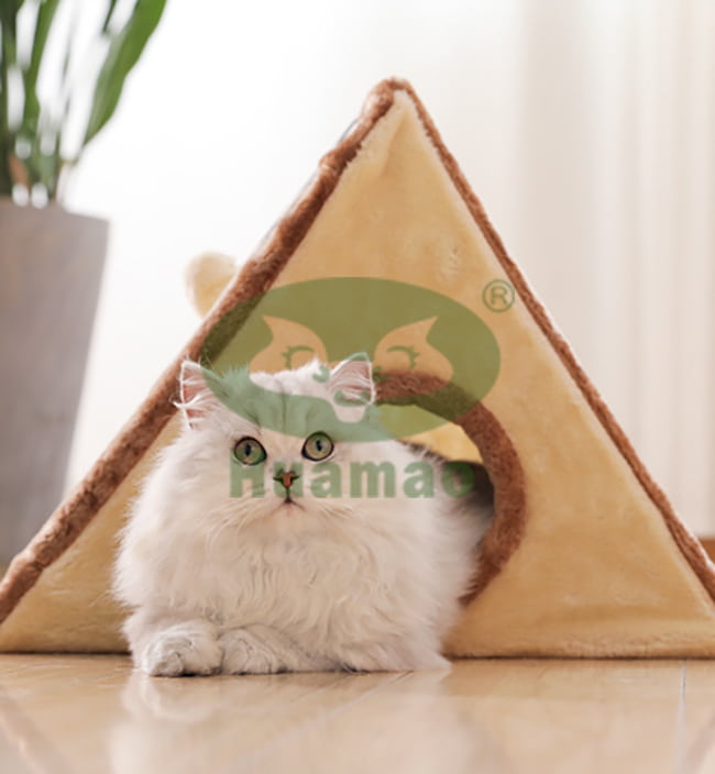 Cheese Cat Scratcher